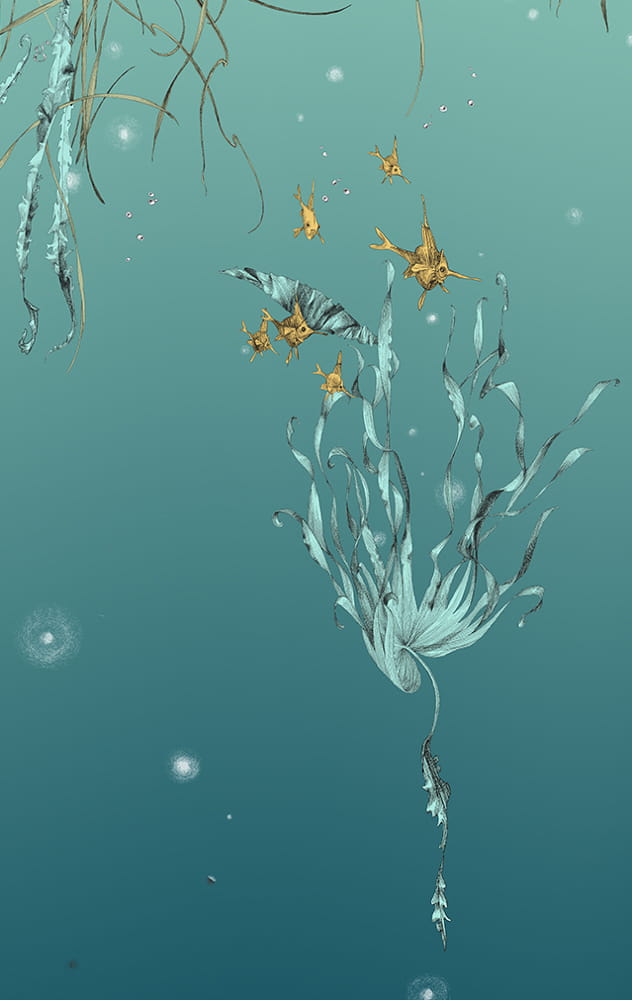 Tapete Nautilus/ Méduses/ Nénuphars - Turquoise - Nénuphars gauche - Turquoise