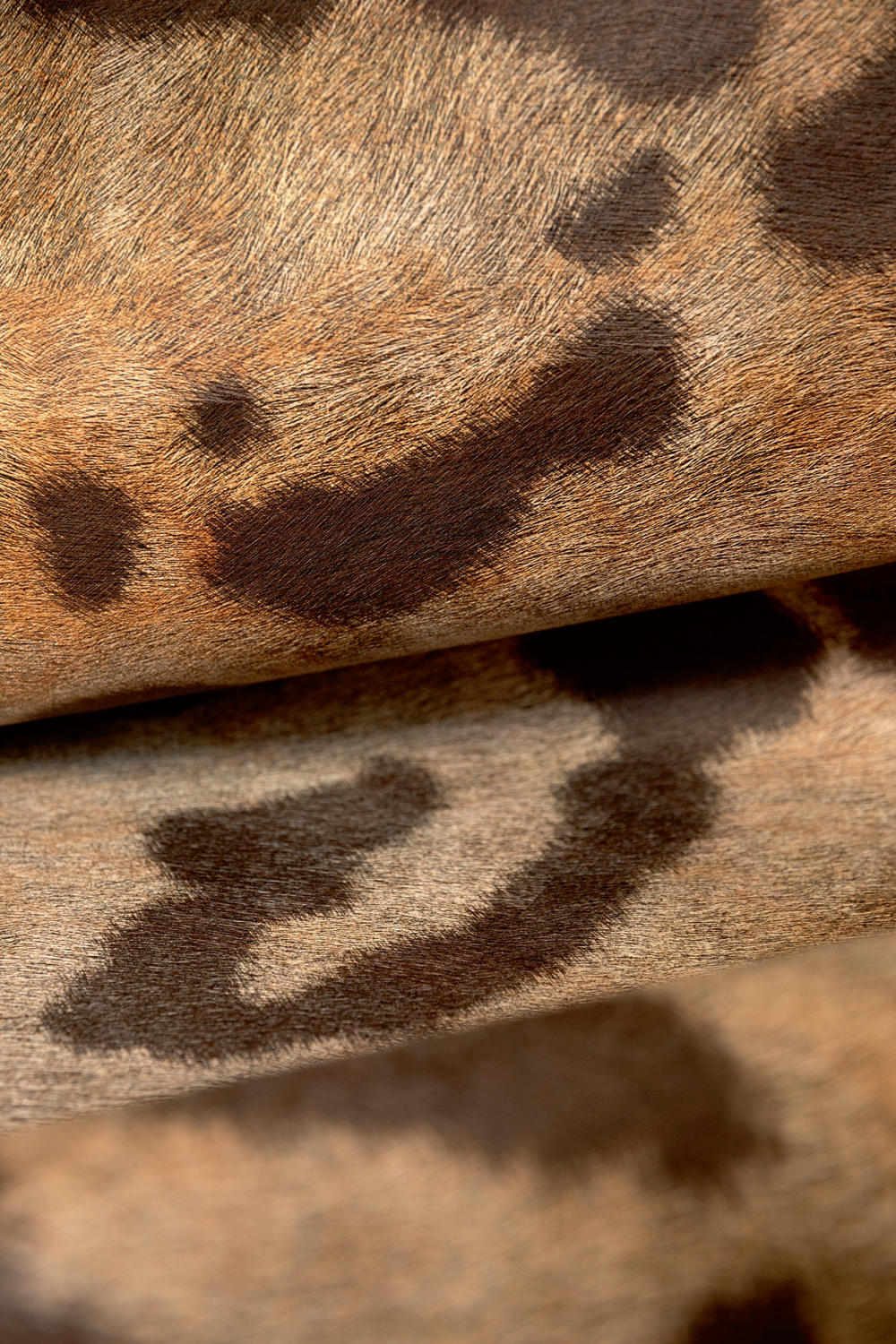 Wandbild Leopard - VP 969 01