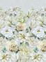 6703_2_Designers_Guild_Jardin_Botanique_PDG1149-02-80531