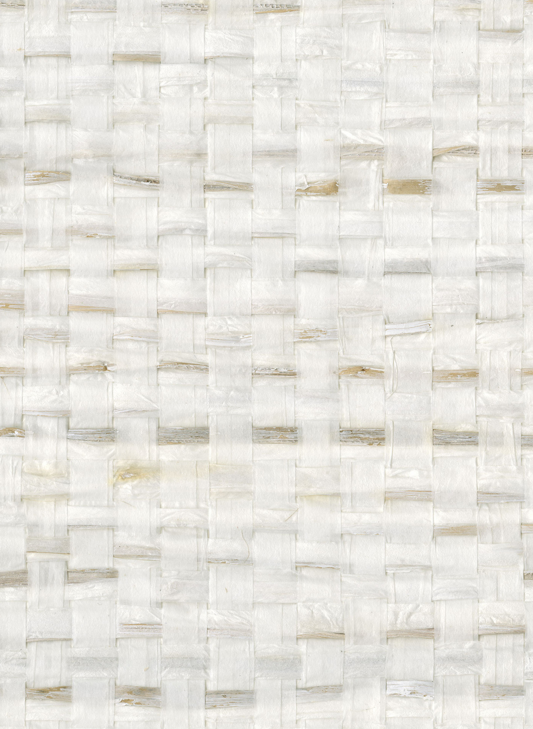 Tapete SOP1031 Shades of Pale