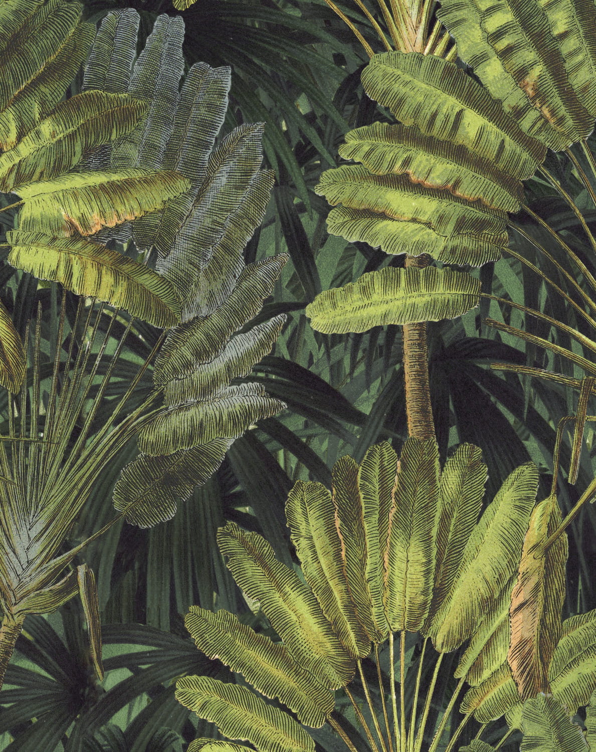 Fabric Traveller's Palm - Linen - FB00035