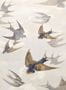 3663_4_john-derian_chimney-swallows_pjd6003-04-30265