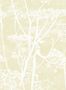 1469_1_cole_son_contemporary_restyled_cow_parsley_95-9053-22264
