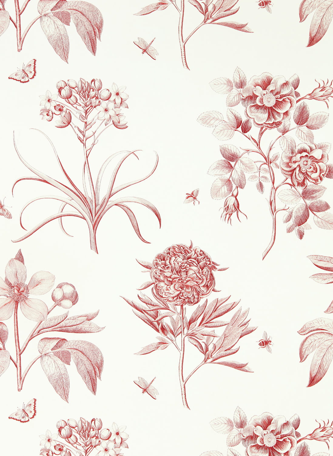 Tapete Etchings & Roses - Amanpuri Red