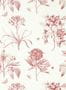 5917_3_Sanderson_Tapete_Etchings_and_Roses_217054-75061