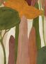 17984_01_Coordonné_Camécuaro_C00053-174665