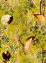 5535_1_mindthegap_royal-garden_wp20456-59069