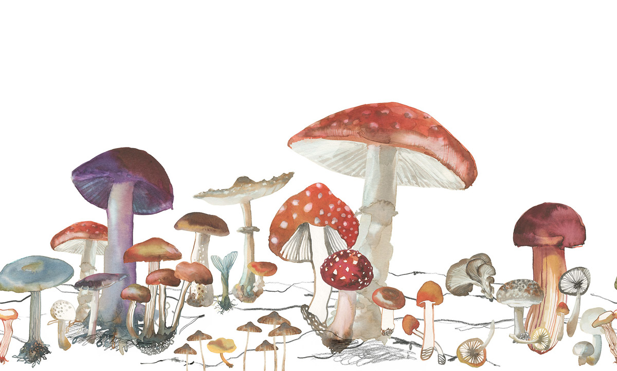 Wandbild Woods of Wonder