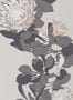 4705_1_paintandpaper_tresco_protea_trail_monument_0393ptmonu-58267