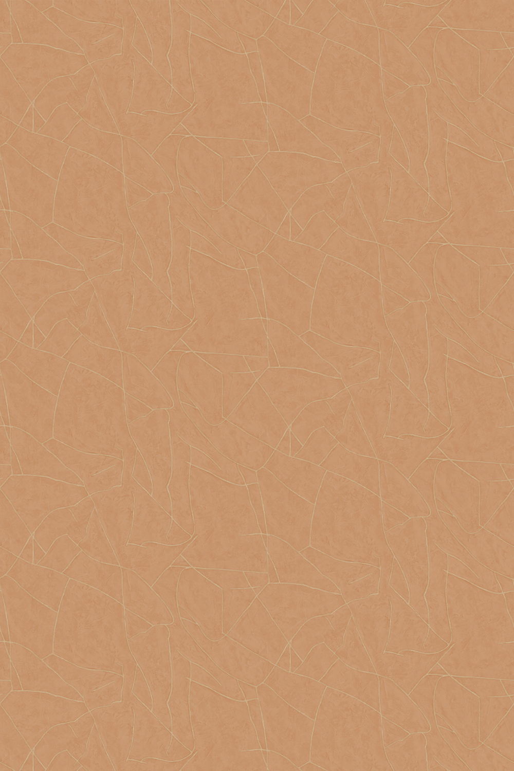 Tapete Kintsugi - VP 1004 51