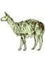 2037_1_sian_zeng_magnet_llama_green-23934