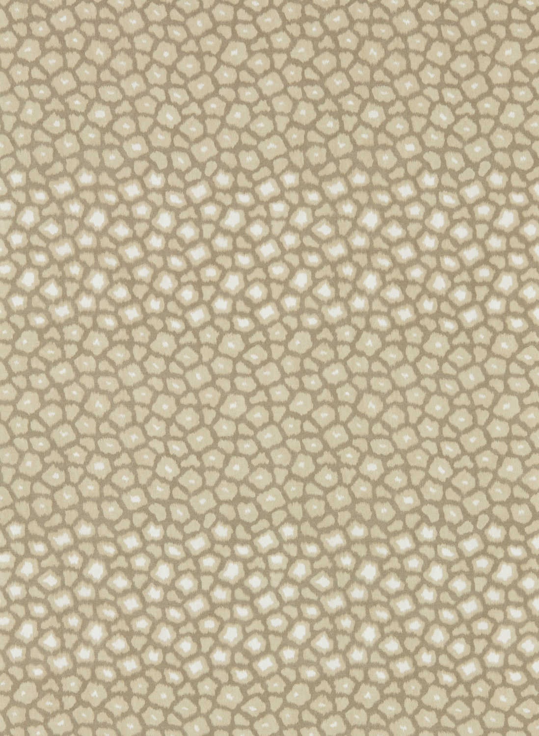 Tapete Loam - Sandstone