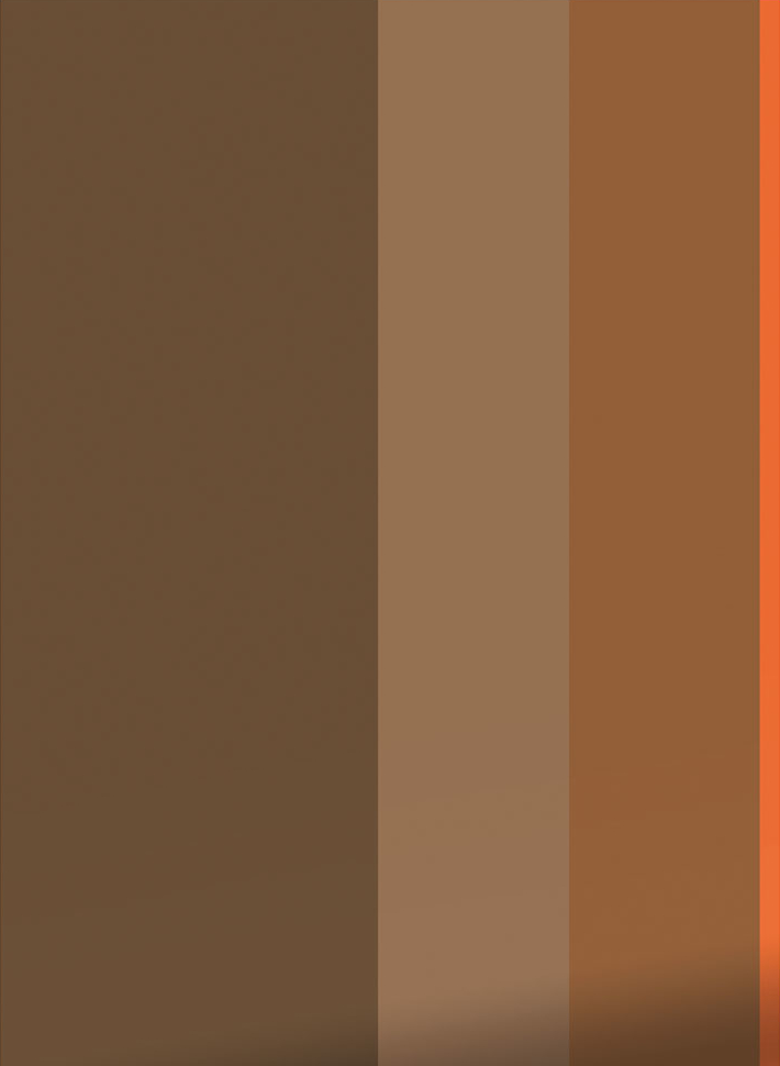 Tapete Bold Stripes 2 Uyterlinde - FU-004