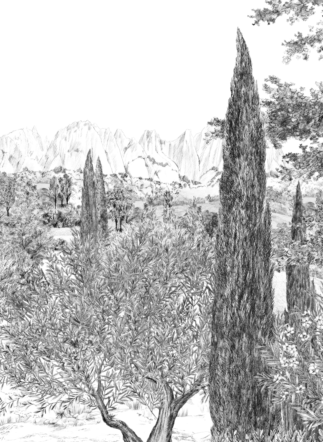 Wandbild Provence - Grisaille Panel C