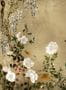 14698_07_Coordonné_Spring_Festival_B00834-161518