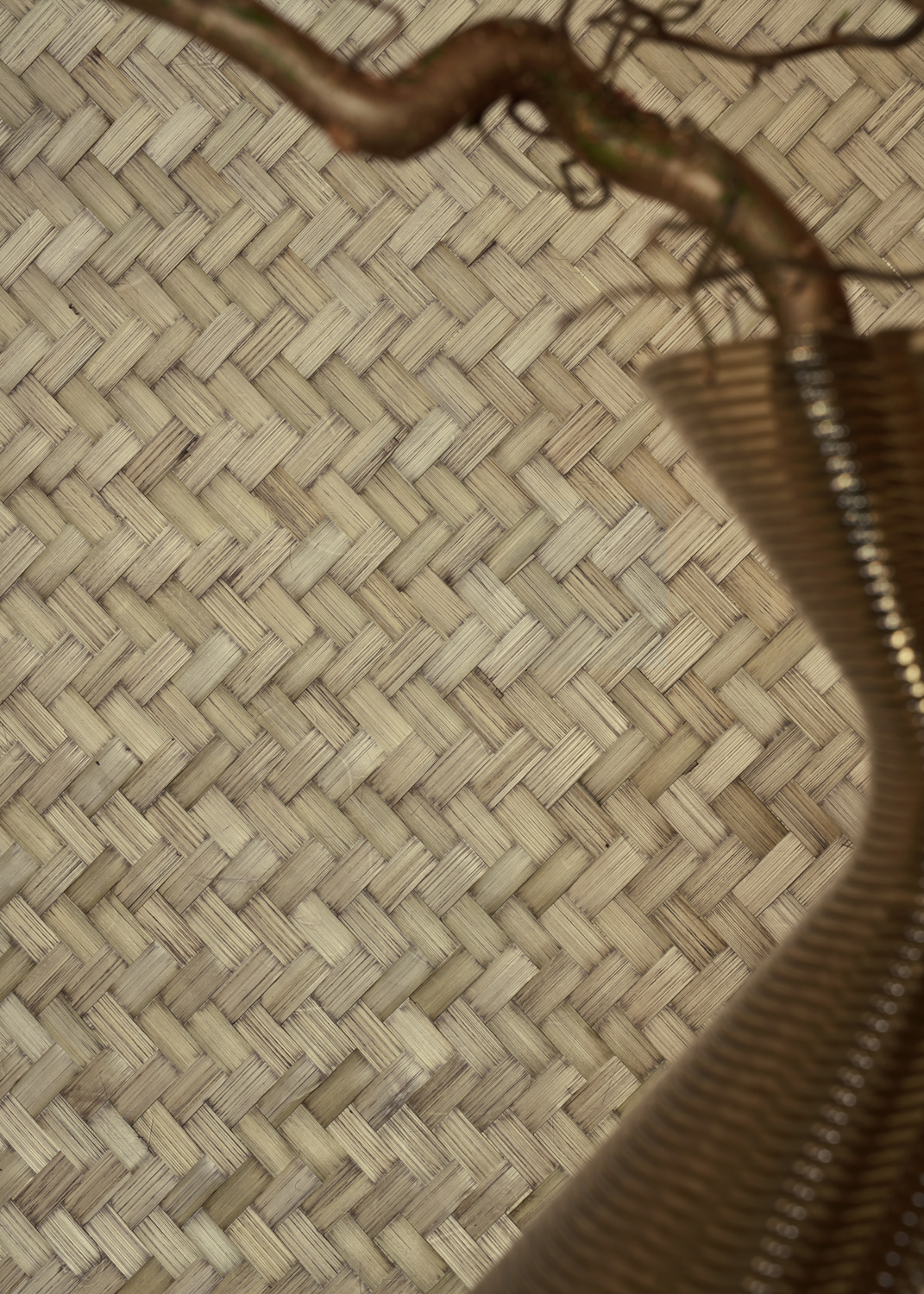 Tapete Bambou Grand Chevron - Fumé