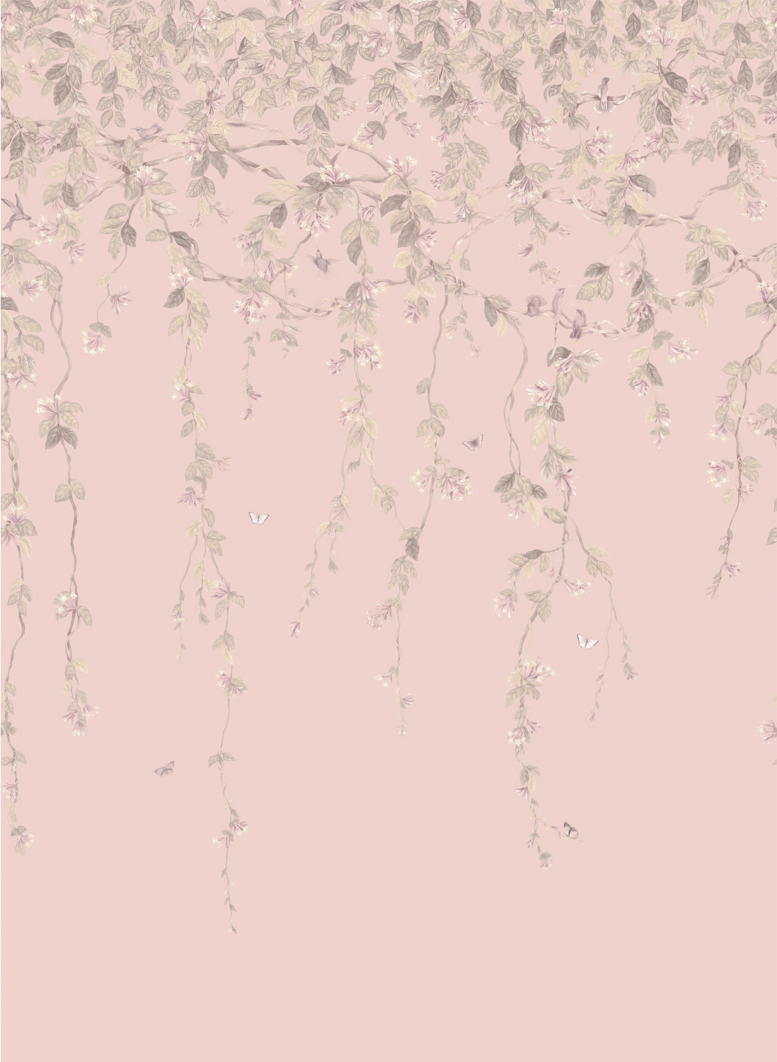 Tapete Hummingbirds Flora - Stone on Rose Quartz