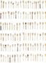 2435_1_nlxl_daniel_rozensztroch_obsession_dro-03-25335