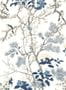 19510_01_Thibaut_Katsura_T13619-191428