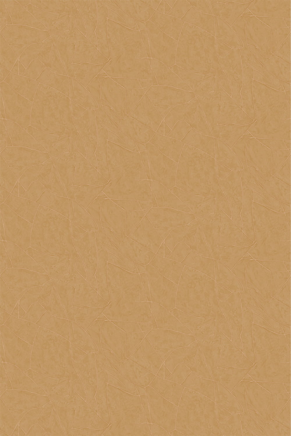 Tapete Kintsugi - VP 1004 21