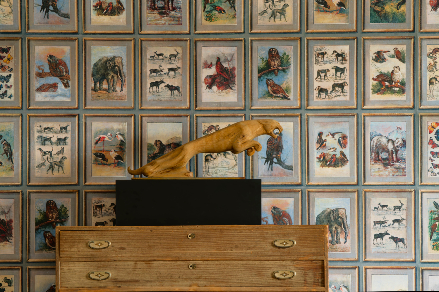 Tapete Zoology - Curazoo