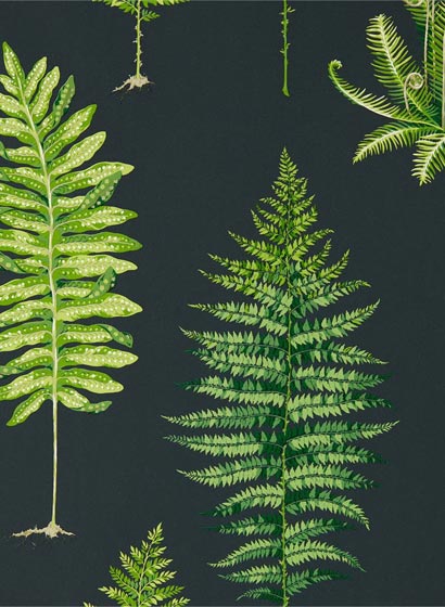 Tapete Fernery - Botanical Green/ Charcoal