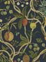 16382_05_Sandberg_Tree_of_Life_S10582-158752