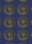 8728_2_Zoffany_Medallion_312975-173720