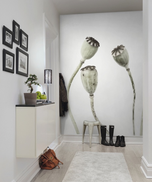 Wandbild Simple Seedpod