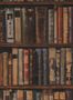 4462_1_andrew_martin_library_navlimu-53677