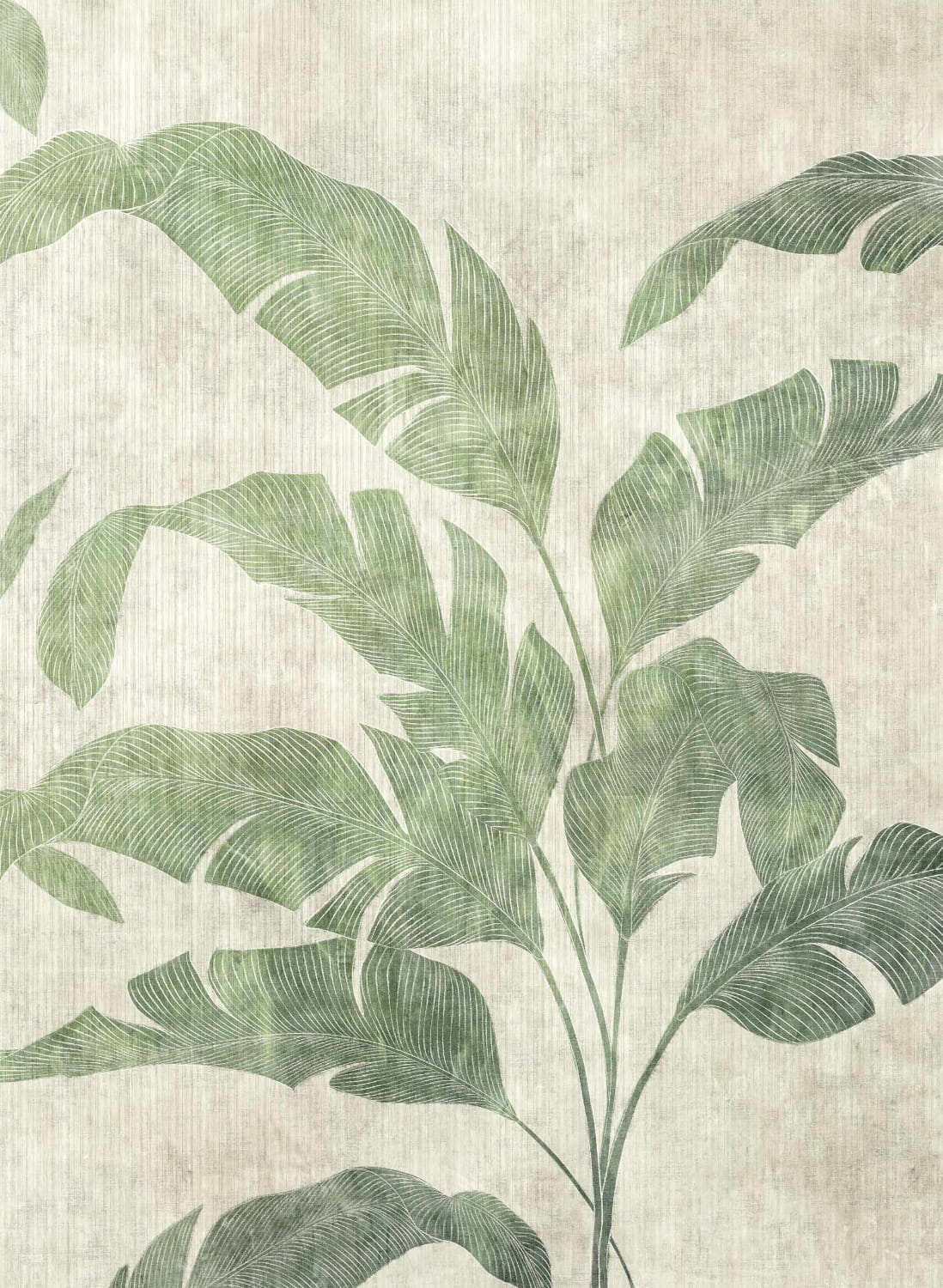 Wandbild Leaves Shadow Bamboo - Leaves