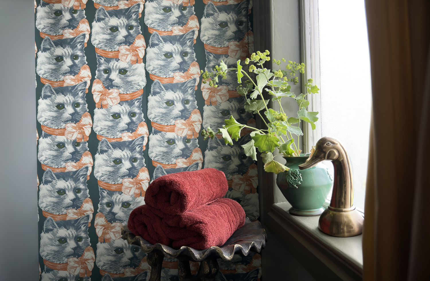 Wallpaper Crazy Cat Lady - 1702