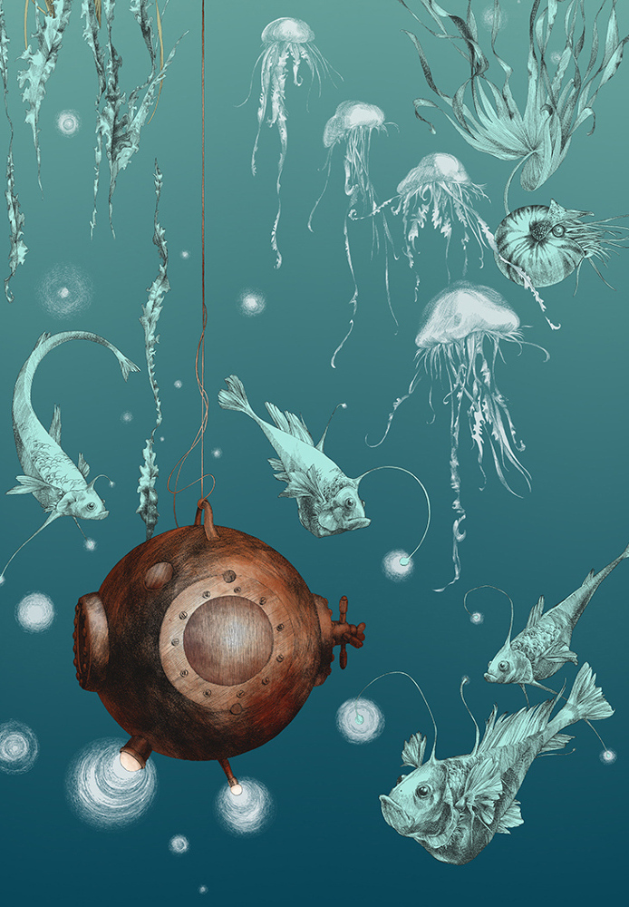 Tapete Nautilus/ Méduses/ Nénuphars - Turquoise - Nautilus gauche - Turquoise
