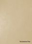 Terrastone-Fine-39-Terra-Di-Sienna-colour-sample-named-190628