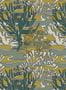 7362_2_Nobilis_Coringa_COS251-67701