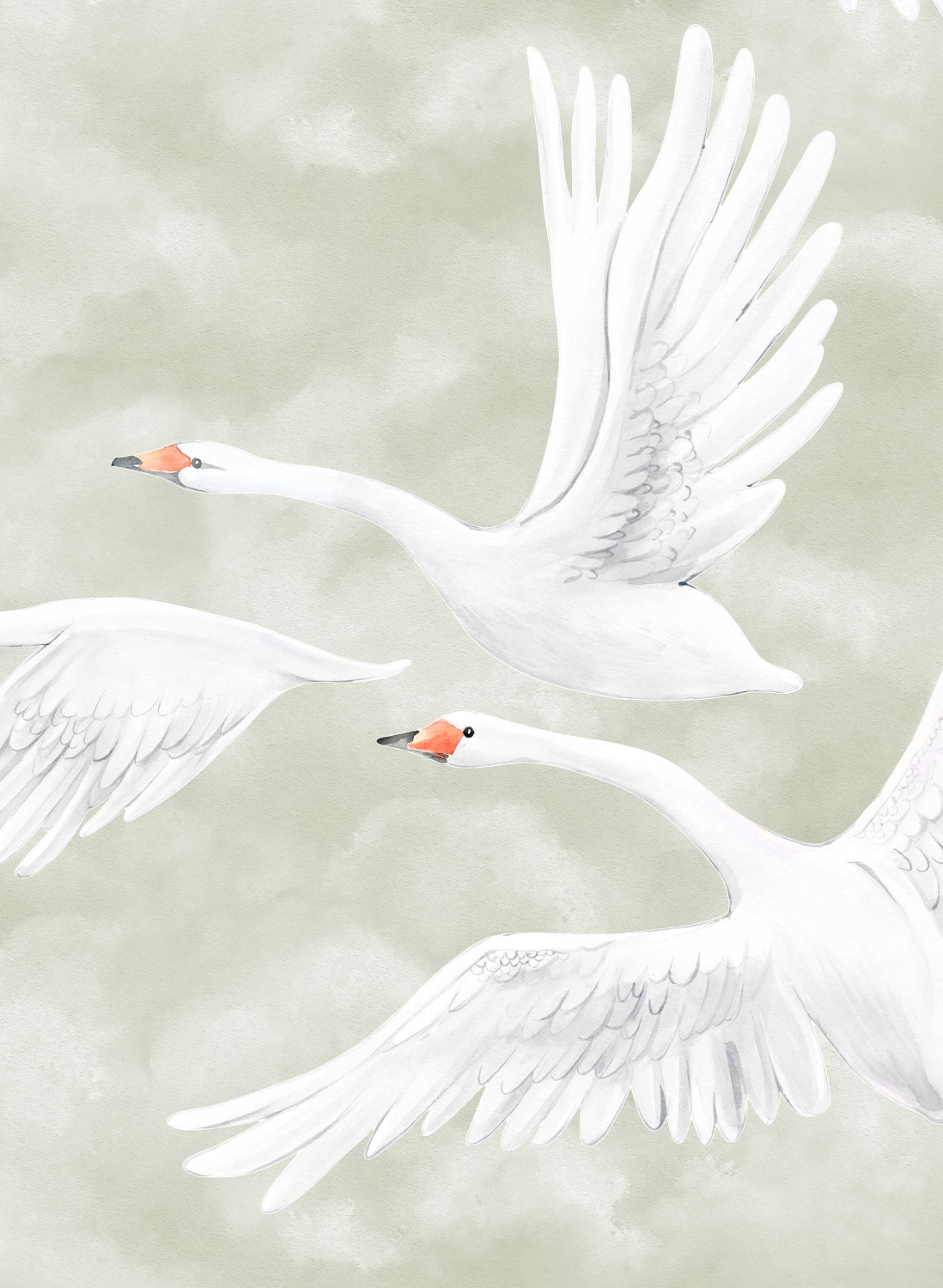 Wandbild Clouds Swans - 9414W