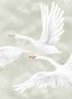 17842_01_Boråstapeter_Clouds_Swans_9414W-176550