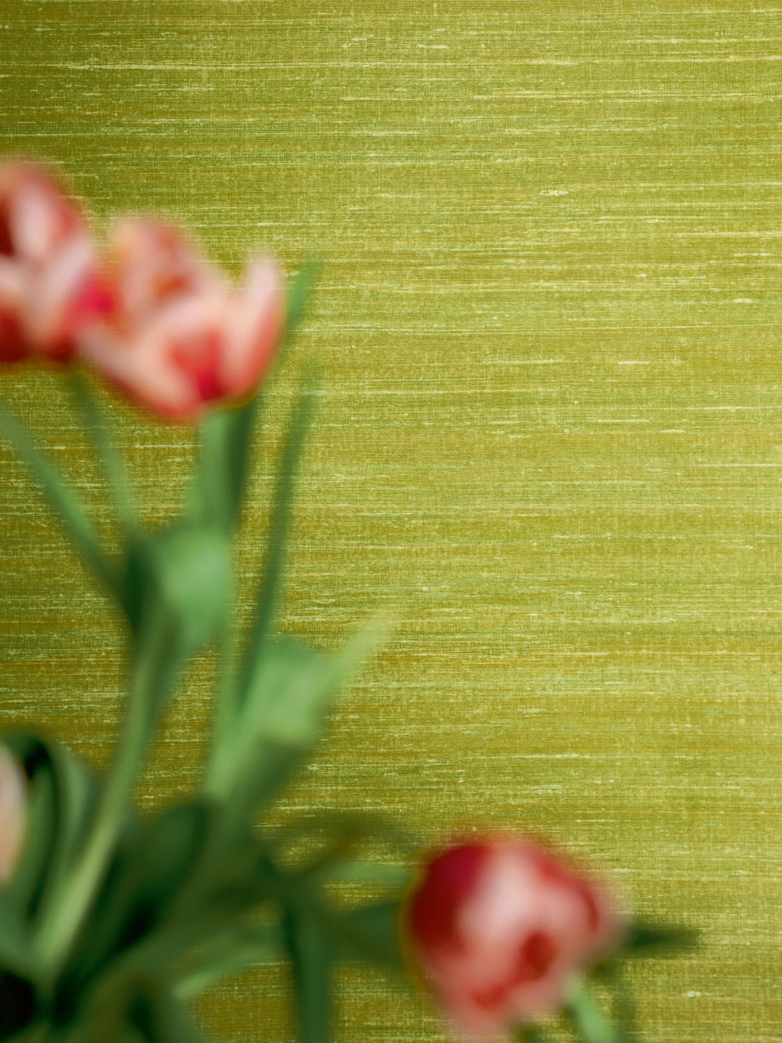 Tapete Kosa Silk - VP 928 63