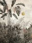 17983_03_Coordonné_Aduanero_C00050-174620