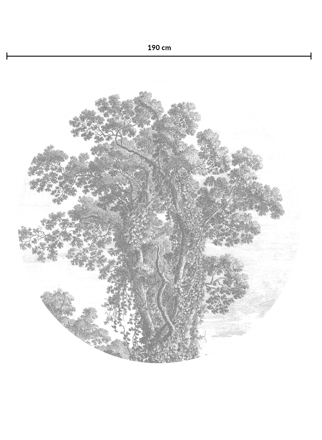 Wandbild Engraved Tree Circle - BW - Ø 1,9m