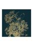 9213_2_KEK-Amsterdam_Engraved-Flowers-Gold-8_L_MW-014-93095