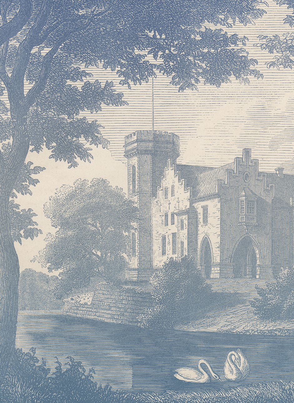 Wandbild Swan Pond - Blue