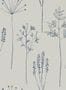 4278_1_scion_stipa_112019-32497