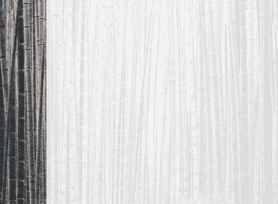 Wandbild Arashiyama - Black Panel 1