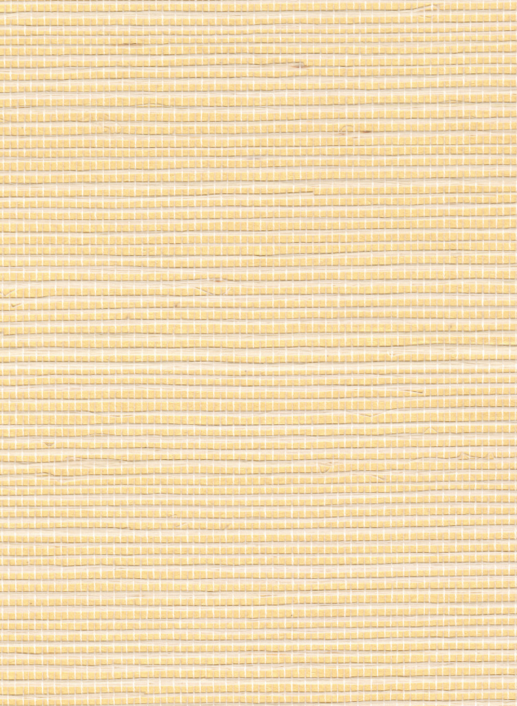 Tapete Sisal Métallique - RM 1073 91