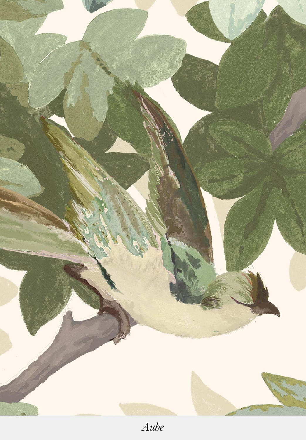 Wallpaper Les Oiseaux - Aube