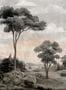 16680_03_Coordonné_Silk_Route_D00149-193932