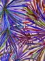 16358_03_Jannelli-and-Volpi_Corifa_7452-154373