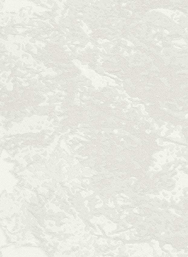 Tapete Versailles - 9261