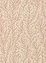 5937_2_Harlequin_Atoll_112768-77018